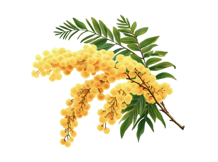 Забота в подарок