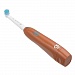 
                    Электрическая зубная щетка CS Medica CS-20040-F FLORA (оранжевая), удобная и эффективная